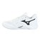 ミズノ（MIZUNO）バレーボールシューズ ウエーブモーメンタム プロ WAVE MOMENTUM V1GA254051