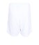 インザペイント（IN THE PAINT）バスケットボールウェア ショーツ ITP25312WHT/MSV