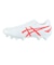 アシックス（ASICS）サッカースパイク 土・人工芝・天然芝グラウンド用 DS LIGHT CLUB WIDE 1103A097.104