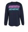 バレーボールウェア ロングTシャツ ディーエックス VB25TS16-43