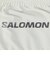 サロモン（SALOMON）ウエストポーチ PULSE BELT LC2711100