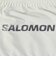 サロモン（SALOMON）ウエストポーチ PULSE BELT LC2711100