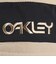 オークリー（OAKLEY）ミトングローブ B1B MITTENS FOS901289-32F