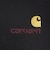 カーハート（CARHARTT）フーデッド アメリカン スクリプト パーカー I03306389XX25FW