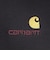カーハート（CARHARTT）フーデッド アメリカン スクリプト スウェットシャツ I02827989XX25FW