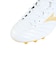 ミズノ（MIZUNO）ジュニア サッカースパイク 天然芝／土／人工芝用 サッカーシューズ モナルシーダネオ3 セレクト P1GB262550