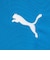 プーマ（PUMA）サッカーウェア INDIVIFINALPROLS 長袖シャツ 66090602