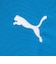 プーマ（PUMA）サッカーウェア INDIVIFINALPROLS 長袖シャツ 66090602