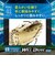 ミズノ（MIZUNO）少年軟式用グラブ オールラウンド用 野球グローブ ウィルドライブ ブルー 1AJGY34730 8057