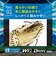 ミズノ（MIZUNO）少年軟式用グラブ オールラウンド用 野球グローブ ウィルドライブ ブルー 1AJGY34730 8057