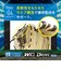 ミズノ（MIZUNO）少年軟式用グラブ オールラウンド用 野球グローブ ウィルドライブ ブルー 1AJGY34730 8057