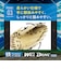ミズノ（MIZUNO）少年軟式用グラブ オールラウンド用 野球グローブ ウィルドライブ ブルー 1AJGY34720 8057