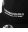 ニューエラ（NEW ERA）キャップ キッズ Youth 9FIFTY Tyrannosaurus ティラノサウルス 化石 14746963