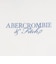 アバクロンビー&フィッチ（Abercrombie & Fitch）半袖プリントTシャツ 93AN60-W7M