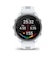 ガーミン（GARMIN）ランニングウォッチ Forerunner 170 010-03920-41 White Blue FR165後継モデル
