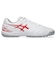 アシックス（ASICS）サッカートレーニングシューズ サッカーシューズ DS LIGHT CLUB TF ワイド 1103A123.102