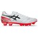 アシックス（ASICS）サッカースパイク サッカーシューズ DS LIGHT PRO ワイド 1103A122.102