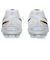 アシックス（ASICS）サッカースパイク DS LIGHT ADVANCE WIDE 1103A125.103