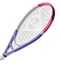 ダンロップ（DUNLOP）硬式用テニスラケット LX 1000 ラベンダー DS22608