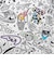 ナイキ（NIKE）リュック キッズバックパック エレメンタル 20L 緑 IM2515-372 子供用 バックパック リュックサック ジュニア