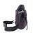 ザ・ノース・フェイス（THE NORTH FACE）ショルダーバッグ ピレネーショルダーS 紫 2L NM82509 ED 小型 ミニショルダー 肩掛け 斜め…