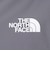 ザ・ノース・フェイス（THE NORTH FACE）ストリームラインジャケット NP22676 SP