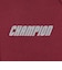 チャンピオン（CHAMPION）フーテッド スウェットシャツ C3-E105 109