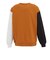チャンピオン（CHAMPION）AS LOOSE MULTICOLOR クルーネックスウェットシャツ C3-E007 855