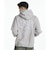 ディーシーシューズ（DC SHOES）HIDDEN PH パーカー 26FW DPO264041 GRS