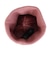 フォーティーセブン（47）ニットキャップ ABRNDXL12ACEQC 15173609