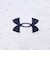 アンダーアーマー（UNDER ARMOUR）ゴルフウェア Mid ロゴ ロングスリーブ ポロシャツ 1388812 100