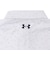 アンダーアーマー（UNDER ARMOUR）ゴルフウェア Mid ロゴ ロングスリーブ ポロシャツ 1388812 100