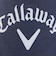 キャロウェイ（CALLAWAY）ゴルフ アイスバック型氷嚢 C25298121-1120