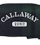 キャロウェイ（CALLAWAY）ゴルフ ボールケース 2個用 スタイル SPL JM 5925443 Style BLCS 25FW GRN