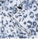 オークリー（OAKLEY）ゴルフウェア 吸汗速乾 スカル ABSTRACT 半袖ポロシャツ FOA409086-186