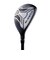 コブラ（Cobra）FLY XL2 ボックスセット10本(1W、5W、4H、6I～9I、PW、SW、PT)オリジナルグラファイト