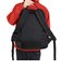 グレゴリー（GREGORY）バッグ リュック デイパック キャンパスデイM 1303121041 登山