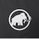 マムート（MAMMUT）アタックザック リュック リチウム30 Lithium 30 2530-03152-0001