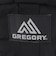 グレゴリー（GREGORY）ポーチ バッグ 0.57L クイックパデッドケースM 1351381041 ブラック 小物入れ W10×H18×D4