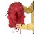 グレゴリー（GREGORY）バックパック リュック 登山 ハイキング マヤ15 1452789975 レッド 15L
