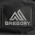 グレゴリー（GREGORY）バックパック リュック ファインデイ V2 FINE DAY 1464931041 ブラック 18L 通勤 通学