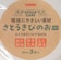 ペーパープレート キャンプ アウトドア さとうきびのお皿 26cm 3枚入 P-26SOM