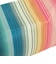 ピクシーポーチ ペンケース 19810227349000 Color Run