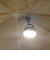 コールマン（Coleman）ライト LED ハンギングEライト 2206770 キャンプ 防災 防災用品 非常用 災害