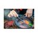 エバニューCAMP（EVERNEWCAMP）キャンプ アウトドア 調理器具 NICKTSUCAM EBY167