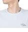ポールワーズ（POLEWARDS）半袖Tシャツ DRY COMFORT PW2RJA01 IGRY グレー 軽量 ストレッチ ラグランスリーブ
