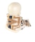 ペンドルトン（PENDLETON）ネックウォーマー ボアマフラー PDT-000-243029 OWHT