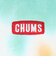 チャムス（CHUMS）長袖Tシャツ ロンT ブービーロゴTシャツ CH01-2275-Z358 オレンジ×グリーン バックプリント 綿100