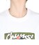 チャムス（CHUMS）アンチバグ グラフィティTシャツ CH11-2507-W001