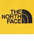 ザ・ノース・フェイス（THE NORTH FACE）フィルデンス ポールケース NM82204 SG